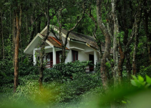 Wayanad Home Stays 3 Days 2 Nights