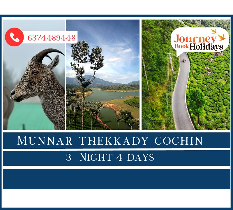 Munnar Thekkady Kochi 3 Nights 4 Days Package